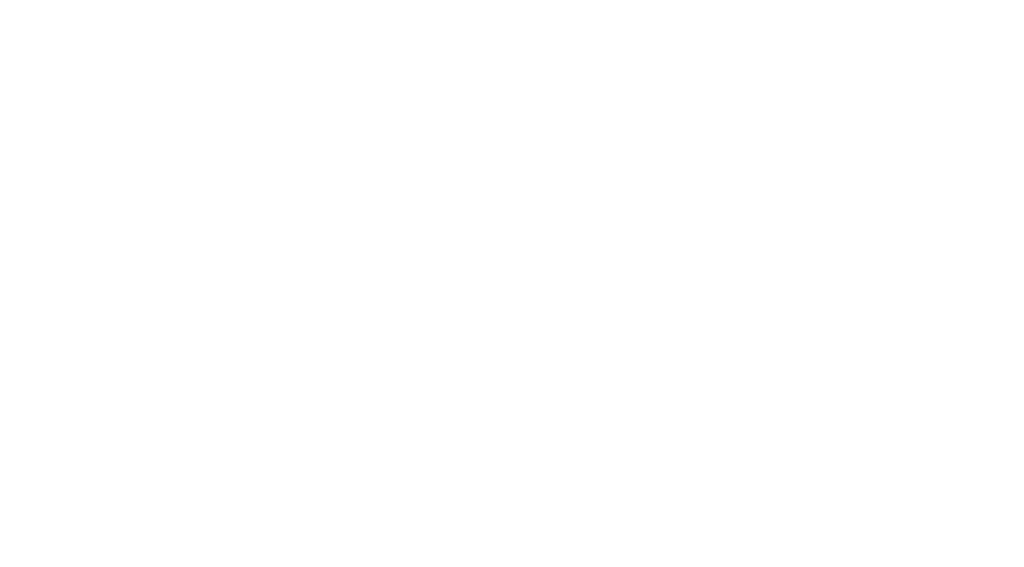 Mountain Disposal logo in white color